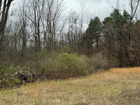 A home in Blendon Twp