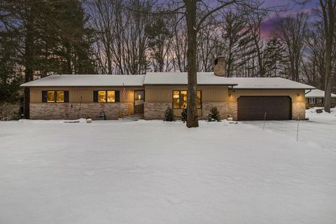 A home in Hamlin Twp