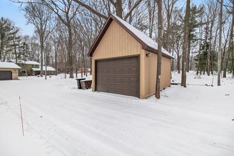 A home in Hamlin Twp