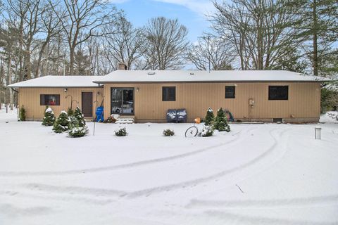 A home in Hamlin Twp