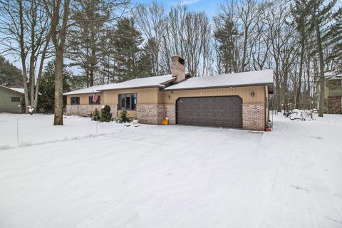 A home in Hamlin Twp