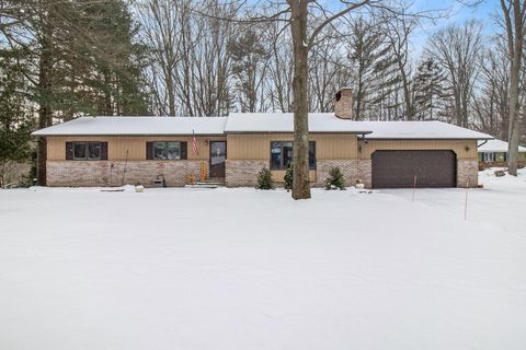 A home in Hamlin Twp