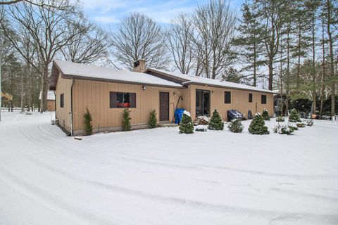 A home in Hamlin Twp