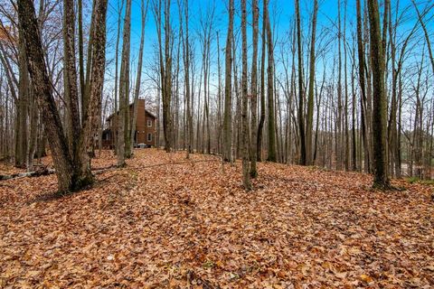 A home in Custer Twp