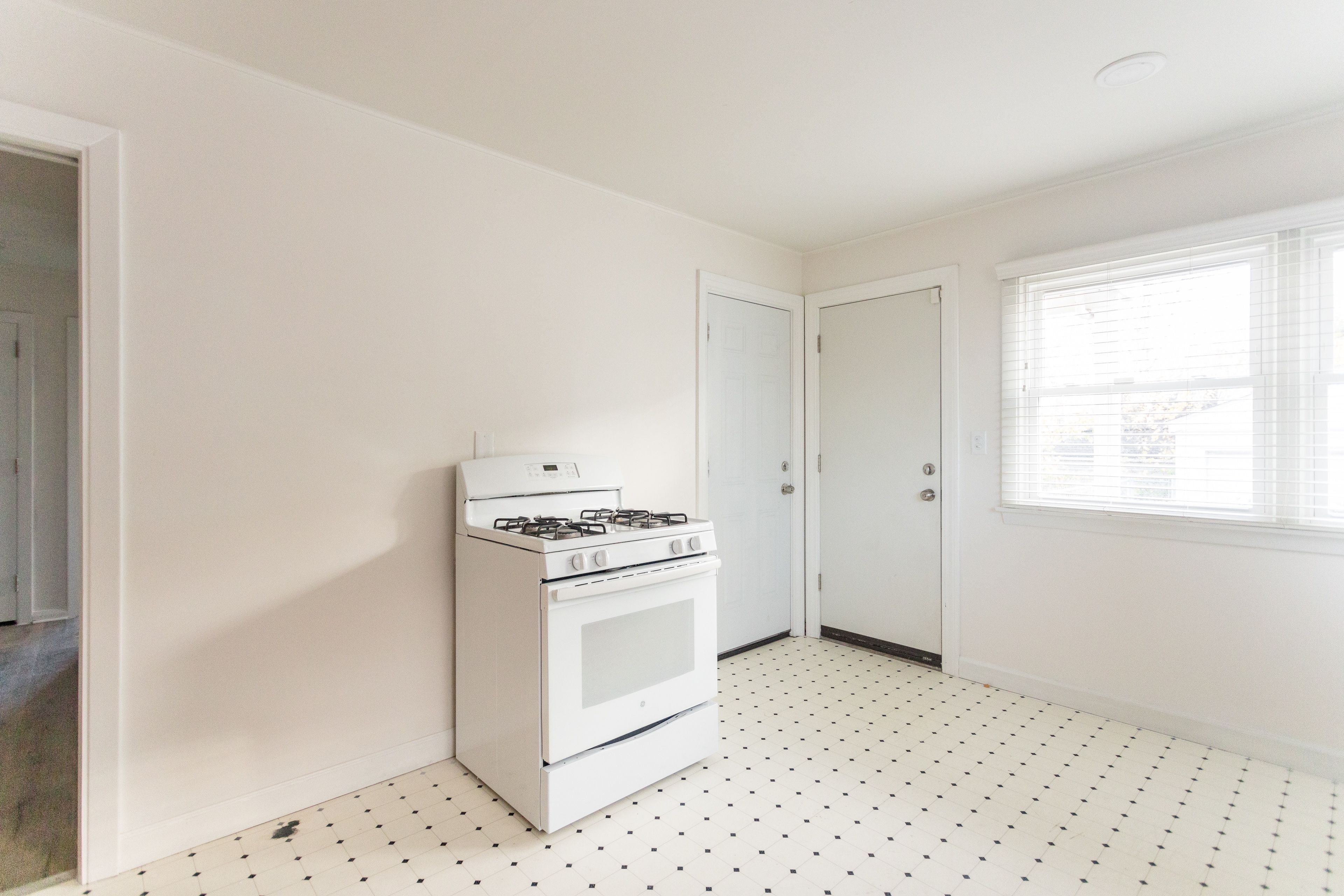 Detroit, Michigan 48215, United States, 4 Bedrooms Bedrooms, ,3 BathroomsBathrooms,Residential,Active,92147