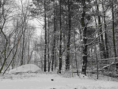 A home in Croswell