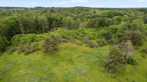 A home in Sherman Twp - Osceola