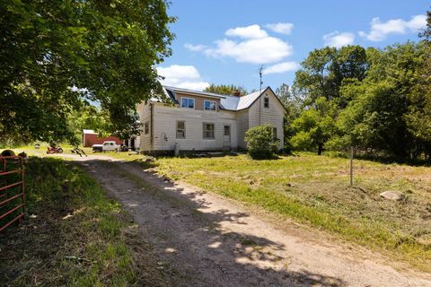 A home in Sherman Twp - Osceola