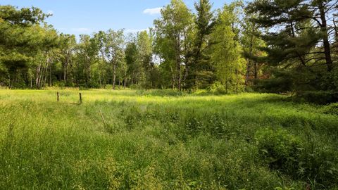 A home in Sherman Twp - Osceola