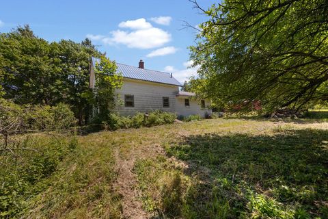 A home in Sherman Twp - Osceola