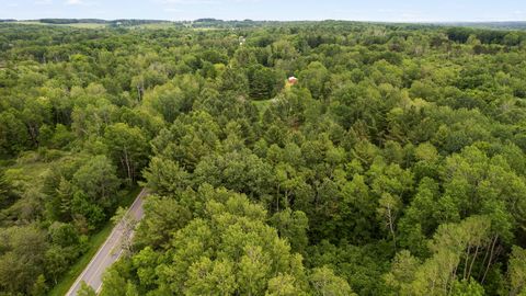 A home in Sherman Twp - Osceola