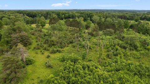 A home in Sherman Twp - Osceola