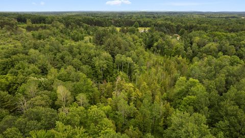 A home in Sherman Twp - Osceola