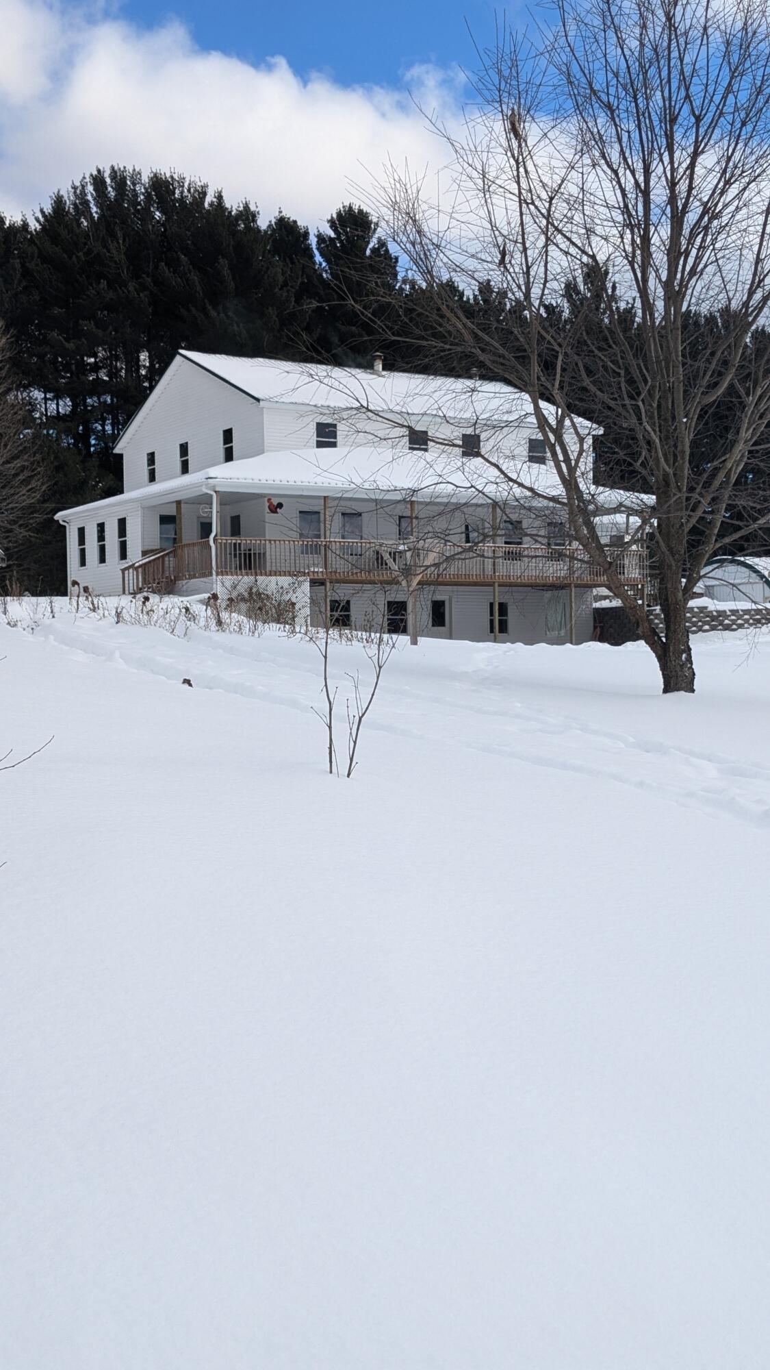 Listing image 5