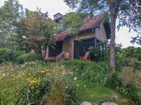 A home in Weldon Twp