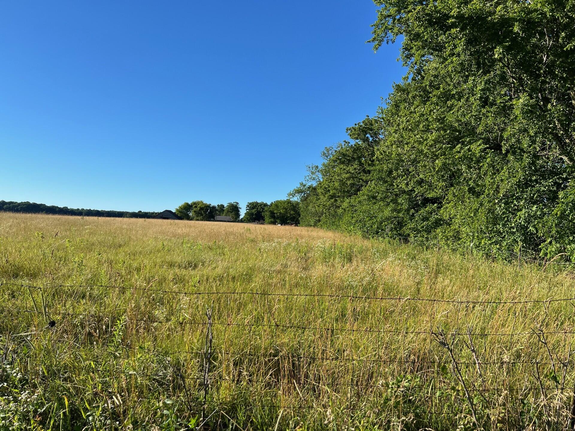 Buchanan, Michigan 49128, United States, ,Land,Active,67601