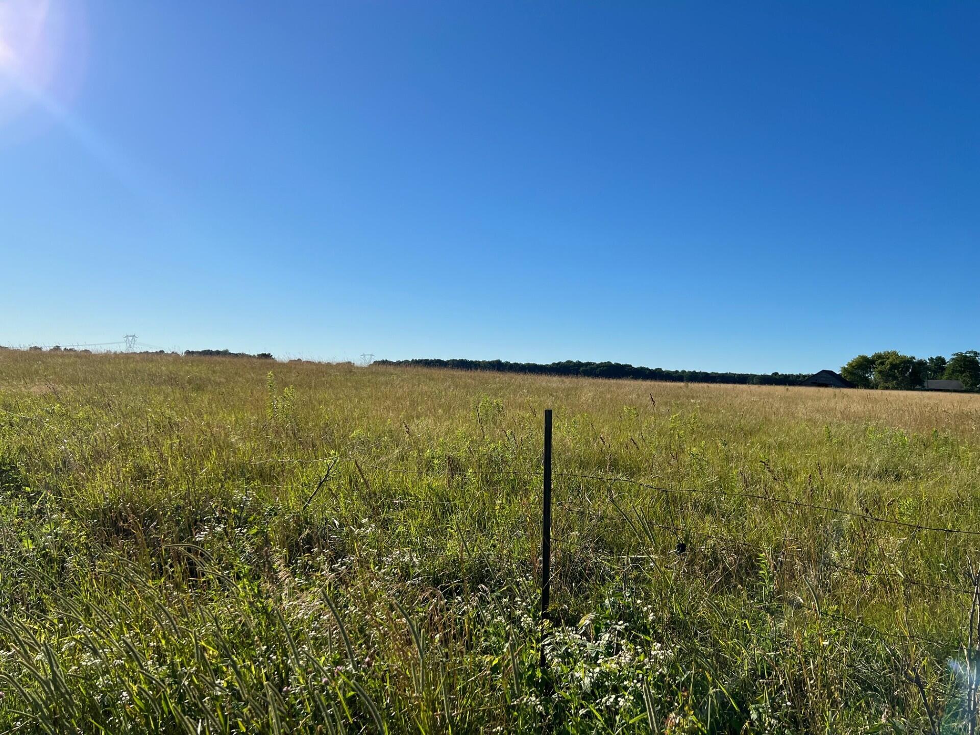 Buchanan, Michigan 49128, United States, ,Land,Active,67601