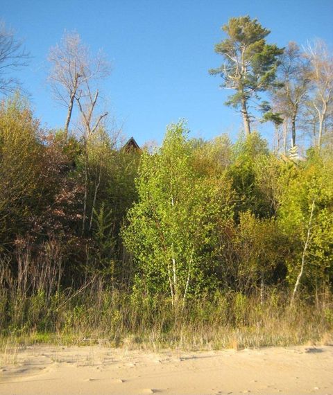 A home in Moran Twp