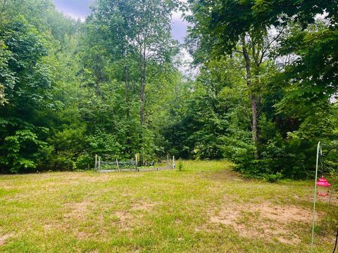 A home in Custer Twp