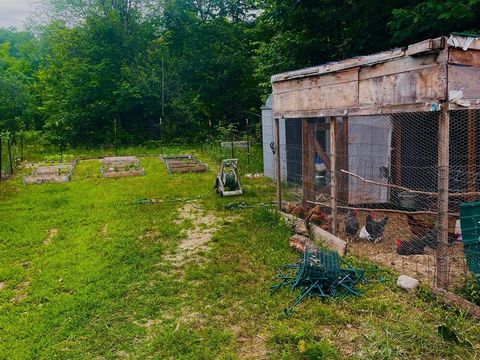 A home in Custer Twp