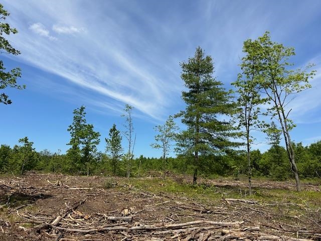 0 E Cranberry Lake Road