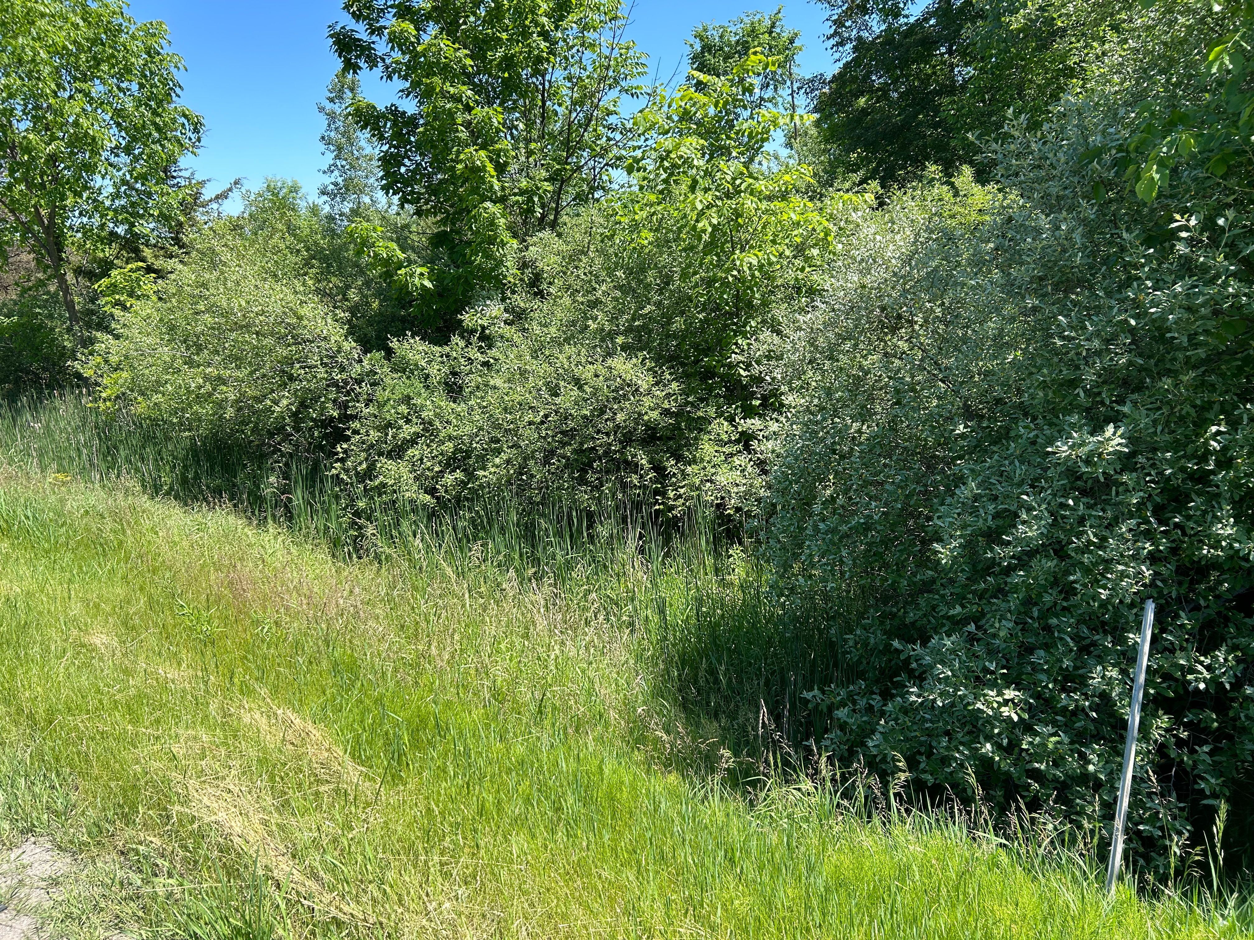 Deerfield Township, Michigan 48461, United States, ,Land,Active,55987