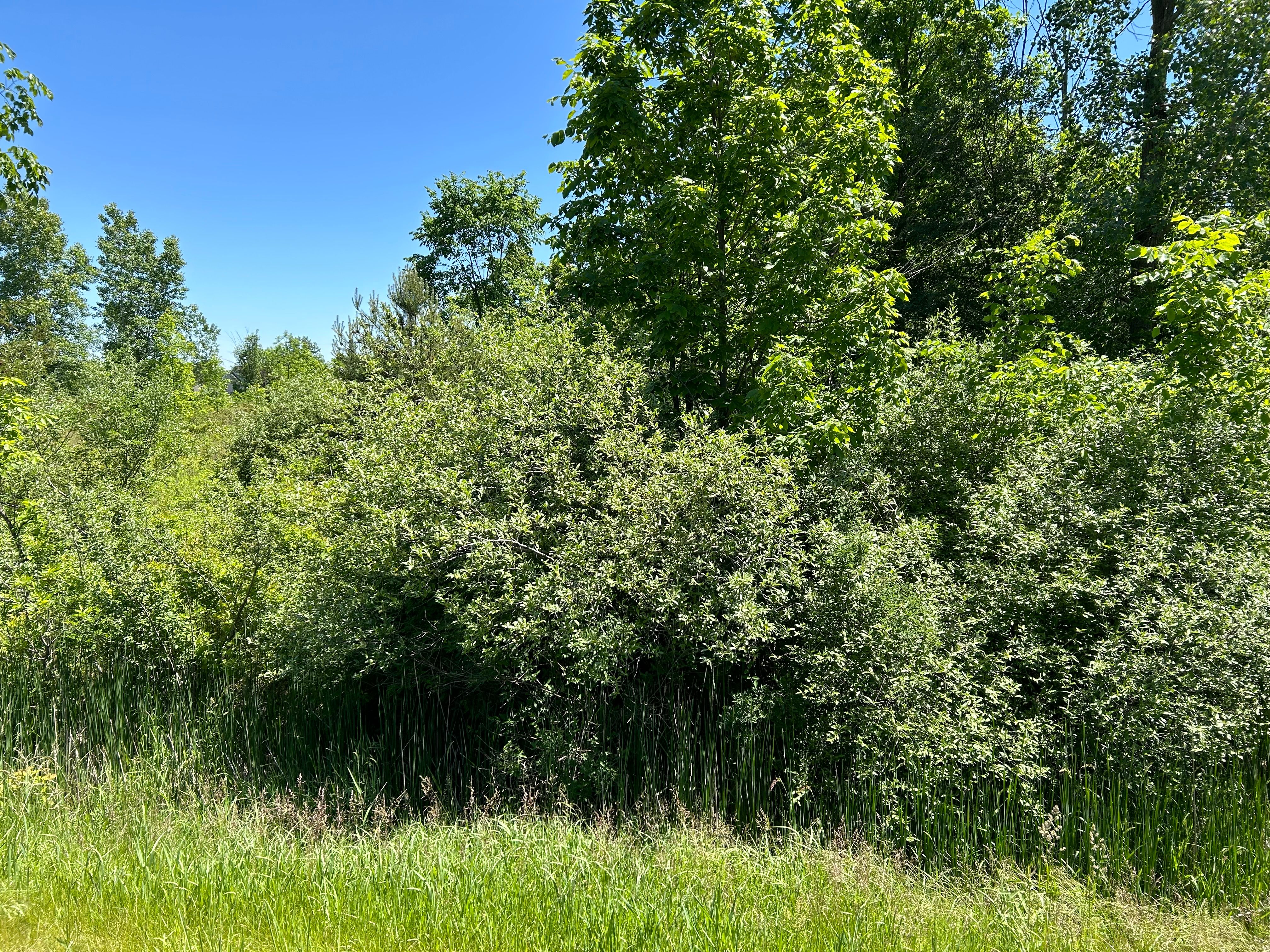 Deerfield Township, Michigan 48461, United States, ,Land,Active,55987