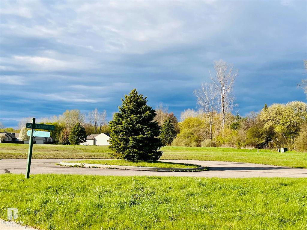 Forest Creek West Drive