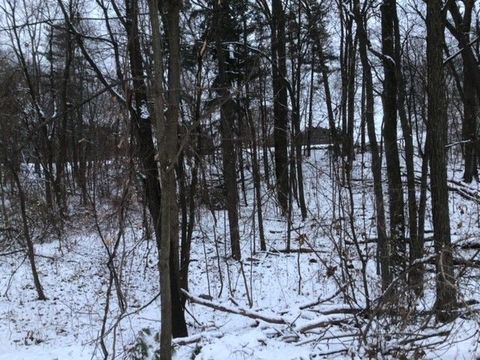 4510 FILBERT Drive Genoa Township Livingston MI 48116