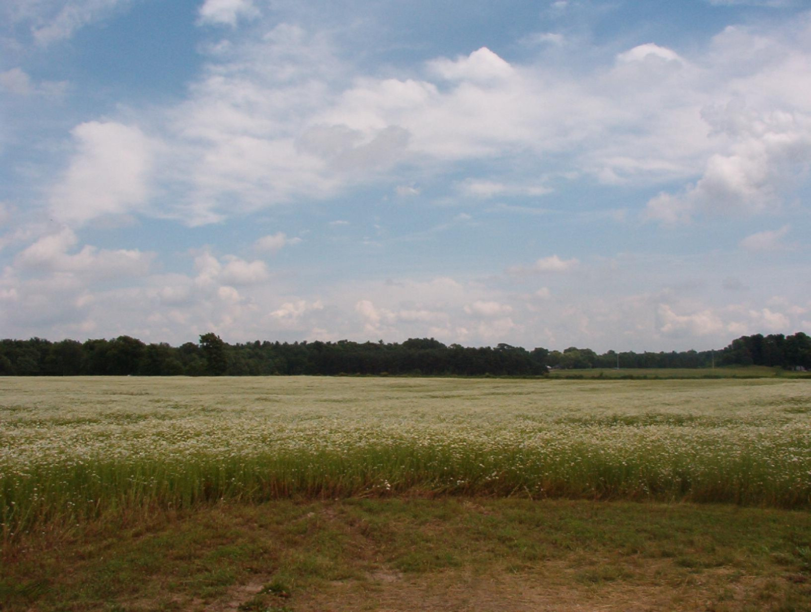 2154 17 Mile Road Parcel A