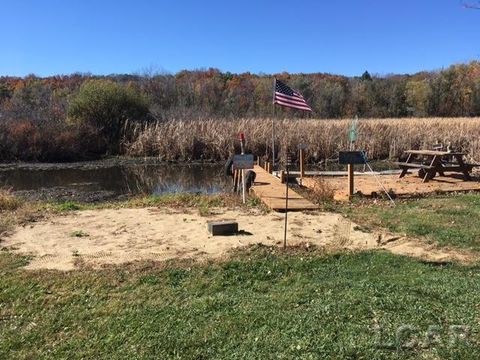 lots 31 & 43 N canal st Drive Onsted Village MI 49265