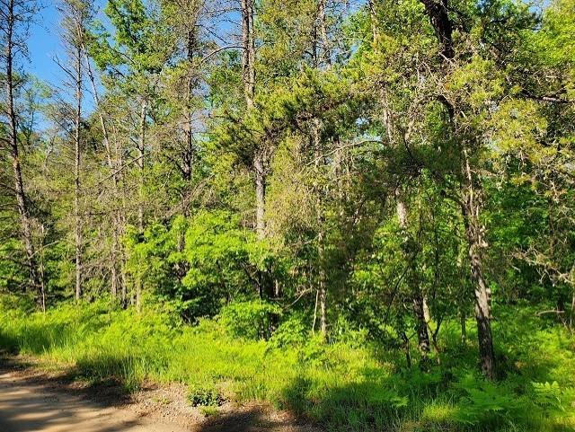 Photo 1 of 8 — 0 Quigley Road, Mills Township, MI 48610
