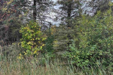 W Vienna Road Montrose Charter Township MI 48420