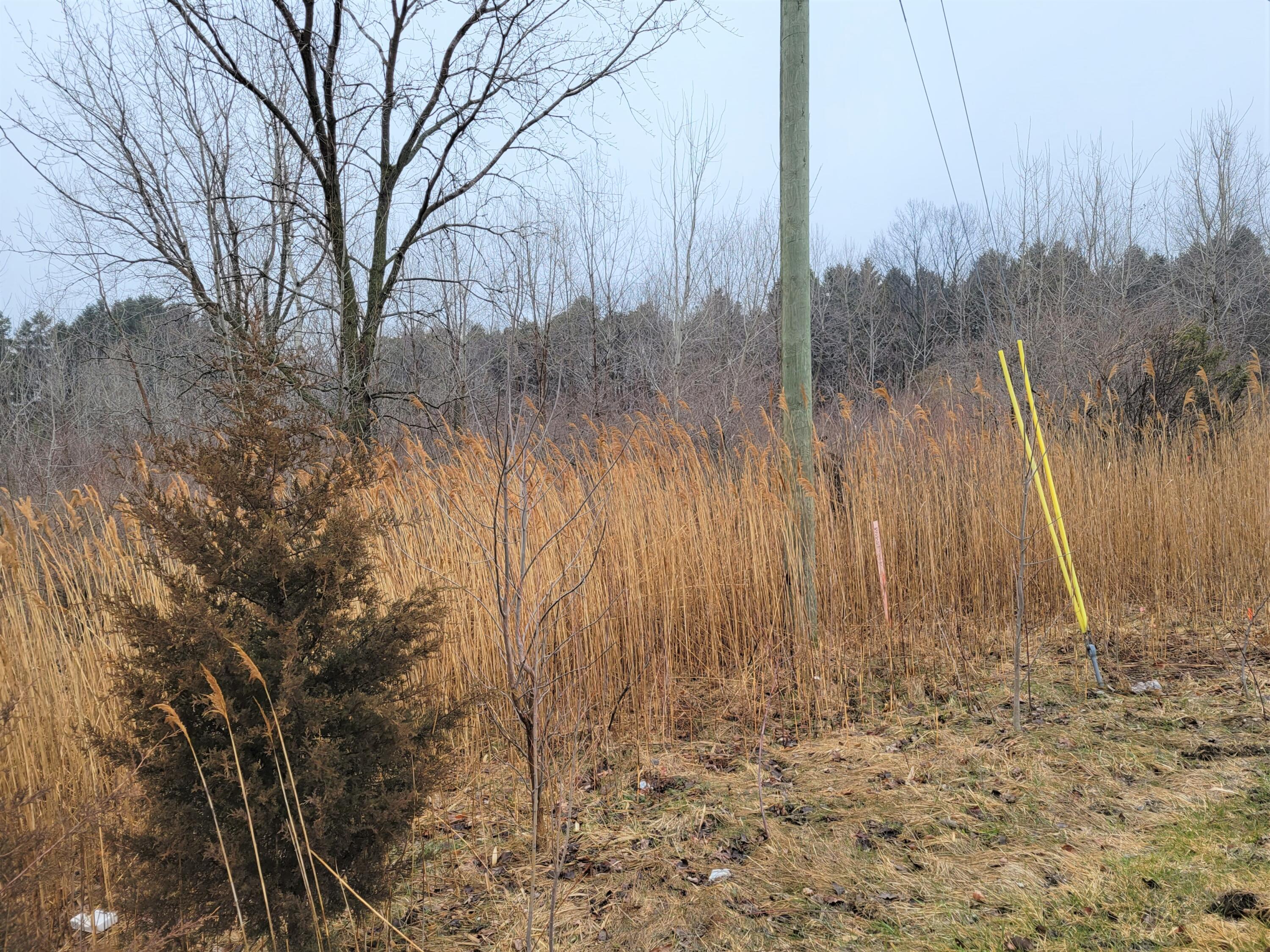 09021 Blue Star Highway