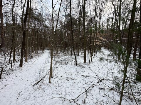 A home in Solon Twp