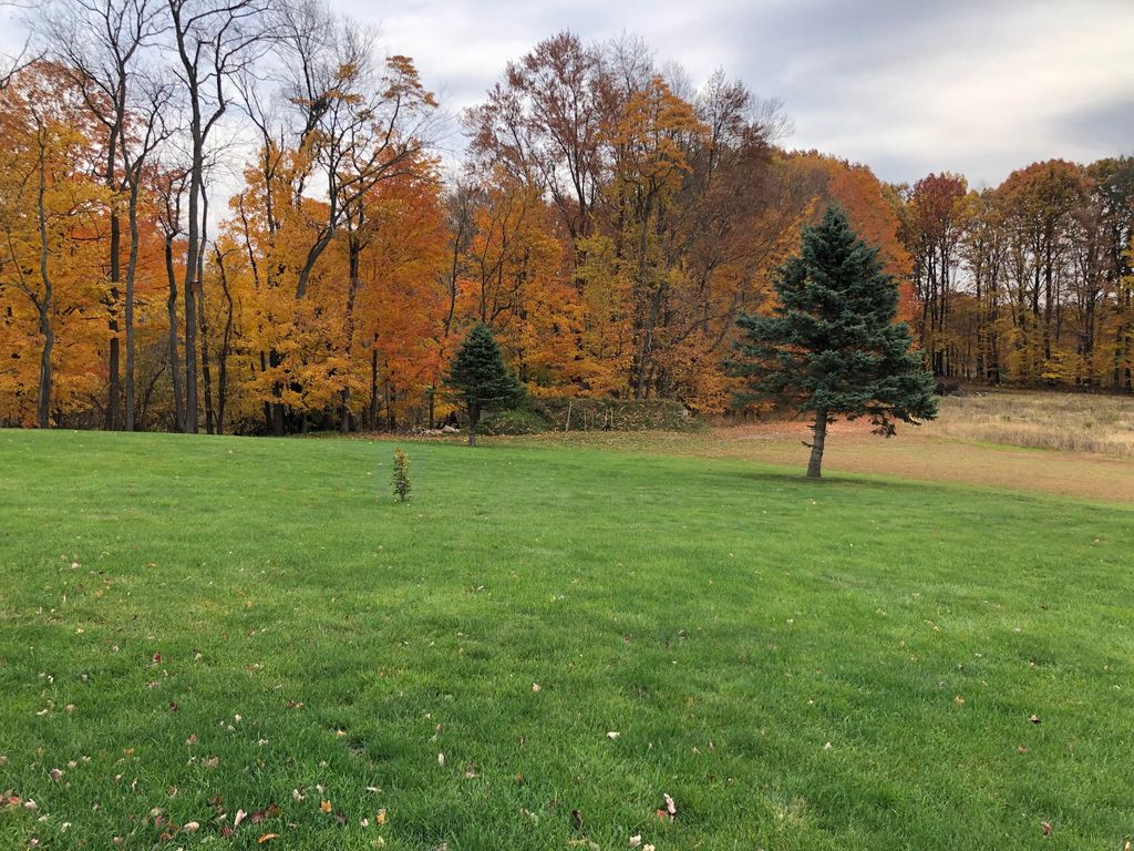 listing image 80