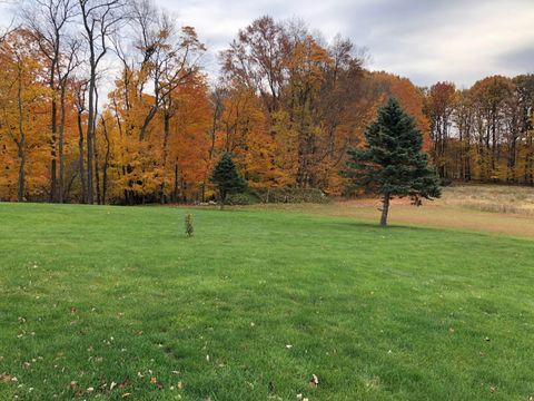 A home in BerrienTownship_Berrien
