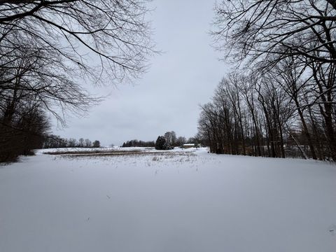 A home in BerrienTownship_Berrien