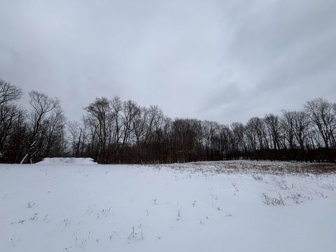 A home in BerrienTownship_Berrien