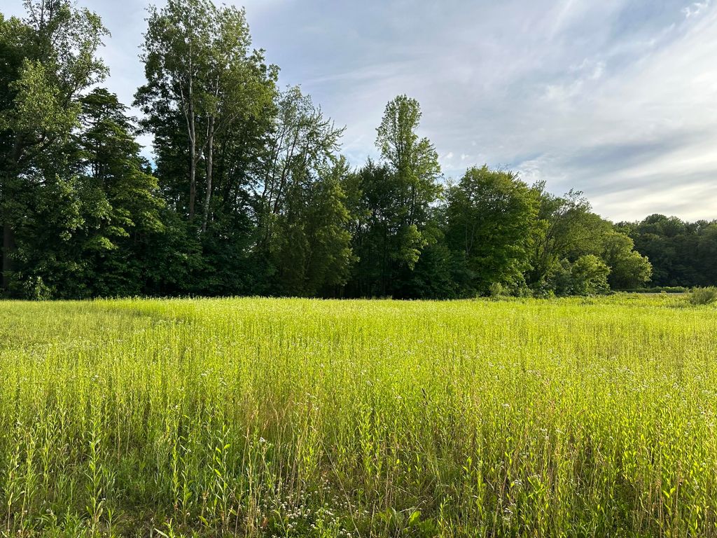 listing image 74