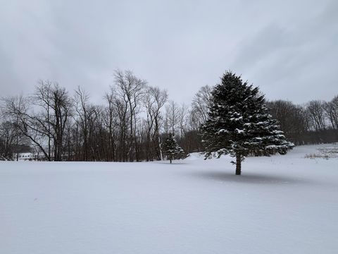 A home in BerrienTownship_Berrien