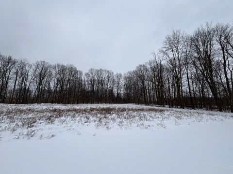 A home in BerrienTownship_Berrien