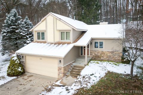 A home in Ada Twp