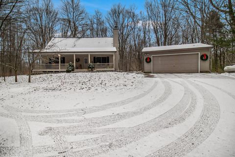 A home in Hamlin Twp