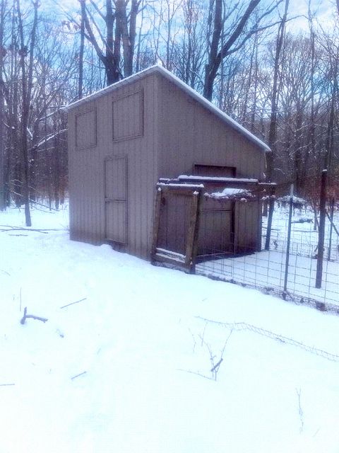 A home in Hamlin Twp