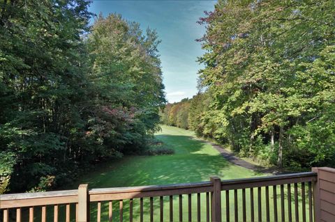 A home in Custer Twp