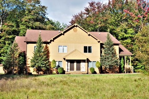 A home in Custer Twp