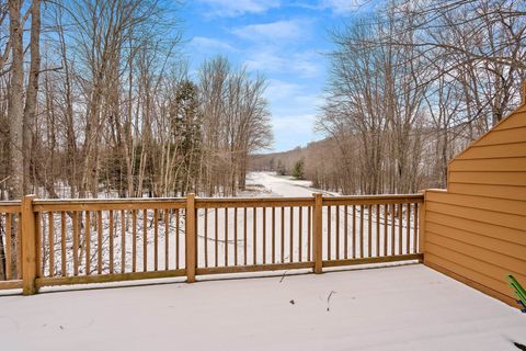 A home in Custer Twp