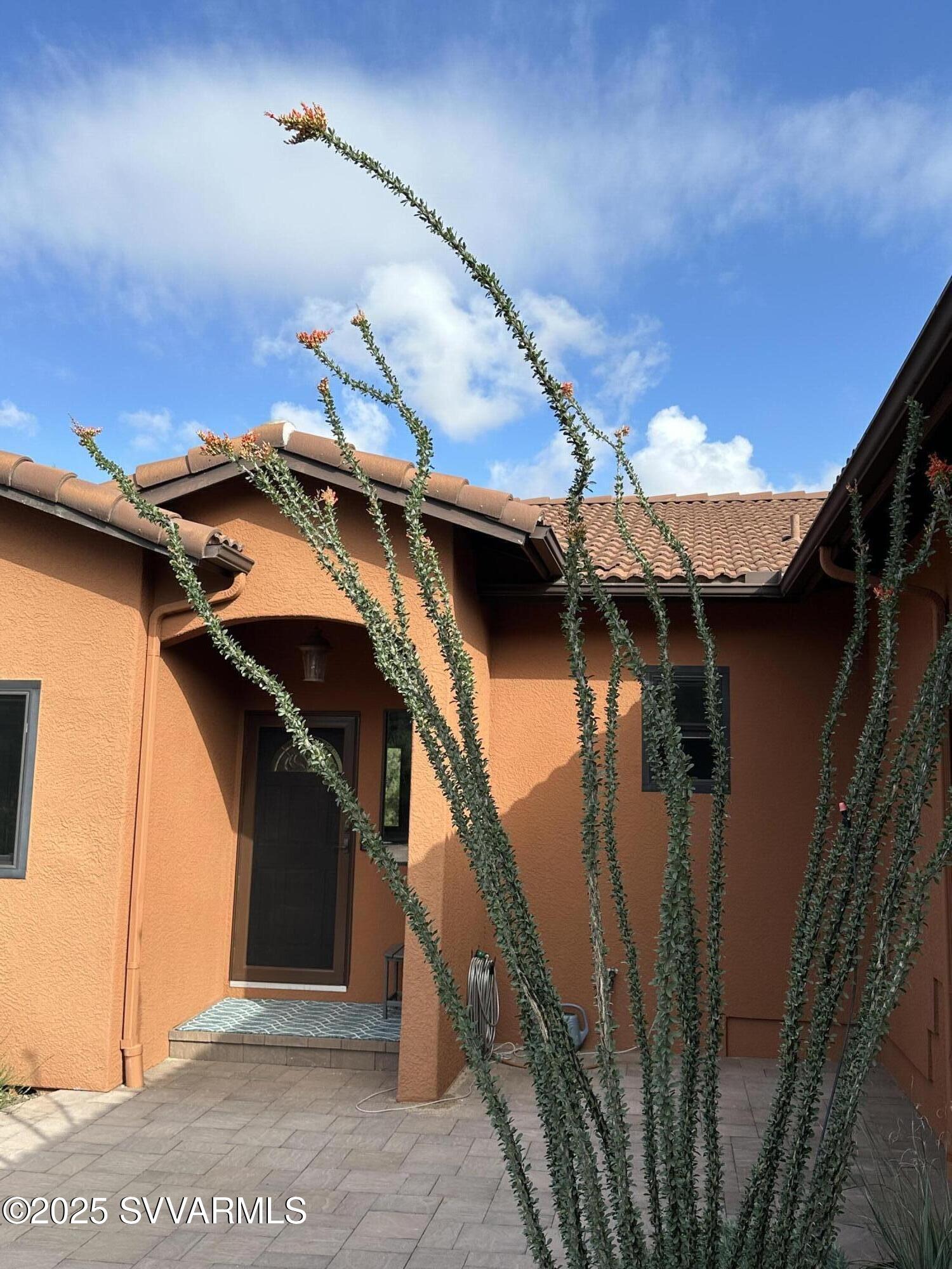 55 Cactus Drive