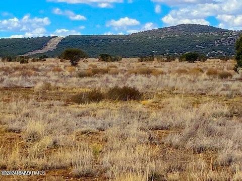  in Ash Fork AZ Tbd Yucca Trail 10.2 Acres.jpg